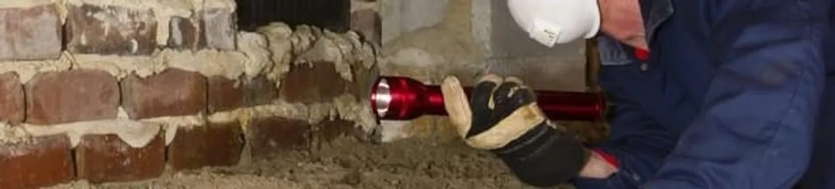 Pest control technician inspecting a crawl space for ant activity and entry points in Colorado Springs, CO