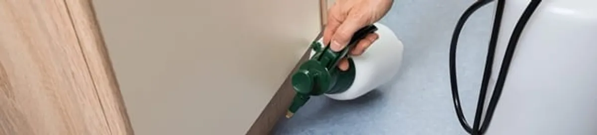 Bed bug exterminator treating baseboards and cracks with targeted spray in Colorado Springs, CO