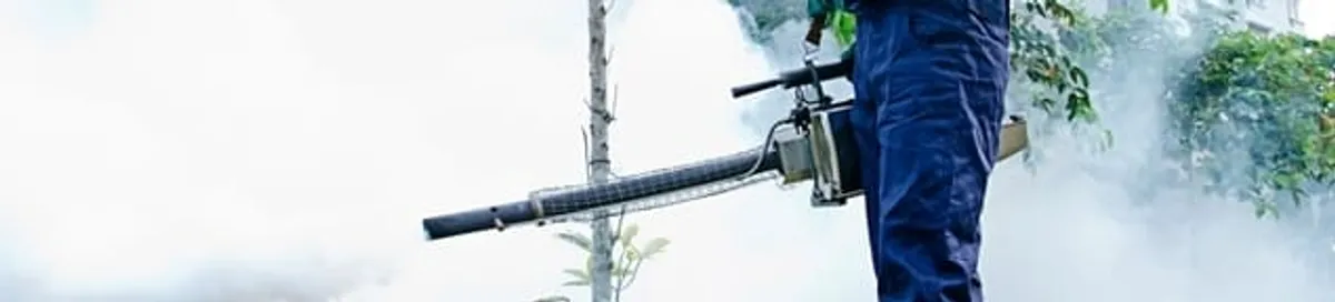 Pest control technician fogging an outdoor area for insect control in Colorado Springs, CO