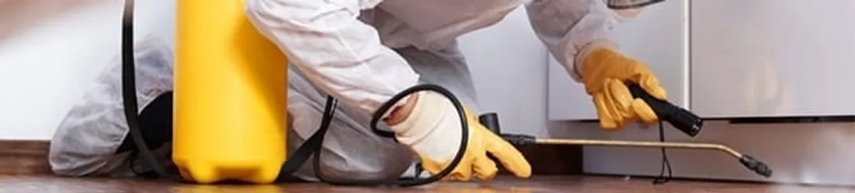 Roach exterminator treating cracks and crevices along kitchen baseboards in Colorado Springs, CO