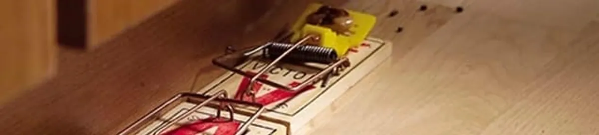 Rodent trap set indoors for rodent control and prevention in Colorado Springs, CO